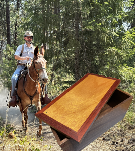 sawdust and saddles